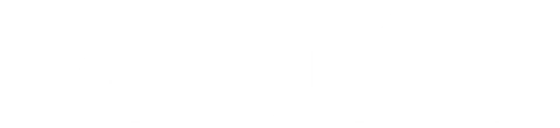 DJ RIPM logo